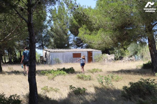 VENTE EN IMMO-INTERACTIF® : TERRAIN - Leucate - Aude (11)