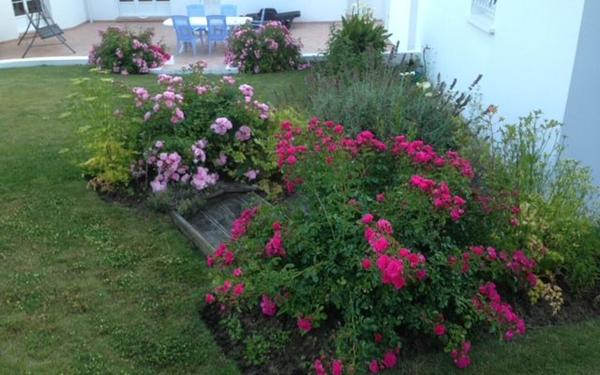 Maison à vendre    5 pièces • 137,07 m2 Breuil-Magné