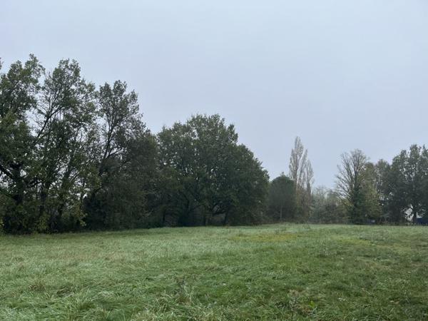 Terrain à vendre |  Graulhet |  3208 m²