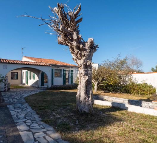 SAINT MARTIN DE RÉ - Exclusivité
