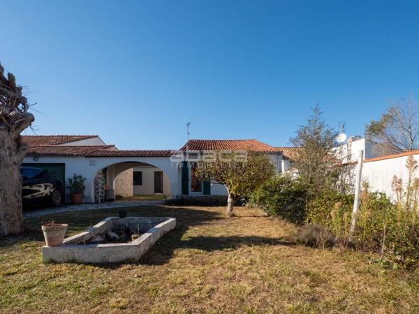 SAINT MARTIN DE RÉ - Exclusivité