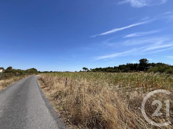 Terrain à vendre  493 m 2   LE FENOUILLER  - 85