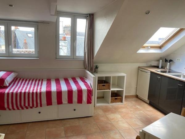 Rouen Vieux-Marché / Gare : Studio rénové de 17 m² avec vue panoramique et charges limitées !