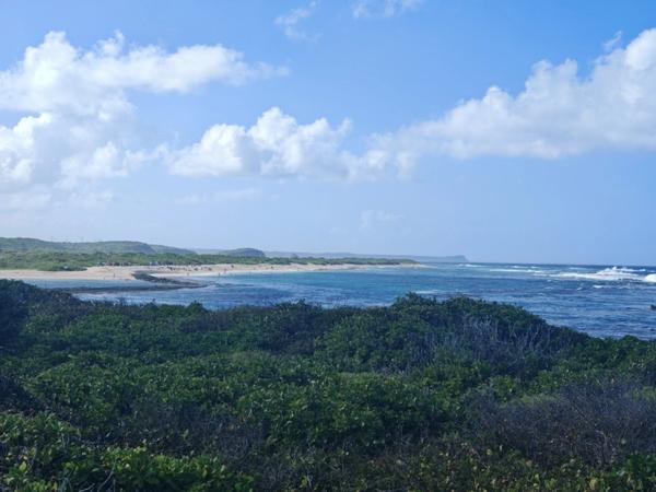 Terrain à vendre dans Lotissement classé Luxe et Prestige "Belles Rives" à Saint-François - Guadeloupe