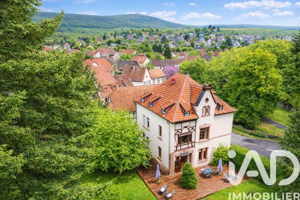 Chambres d’hôtes, Gîtes​ à vendre 307 m² Wissembourg