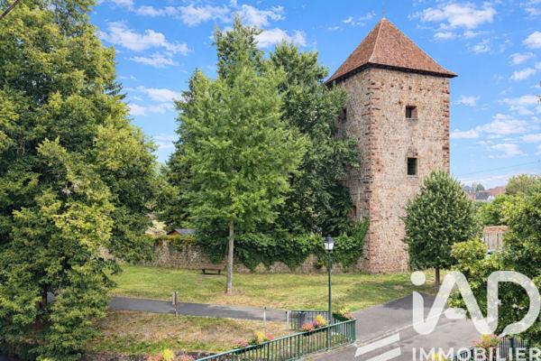 Chambres d’hôtes, Gîtes​ à vendre 307 m² Wissembourg