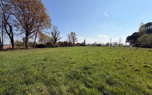 Terrain à vendre    Montgaillard