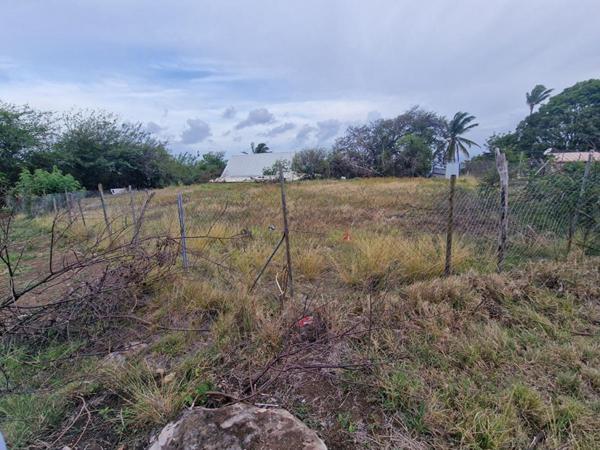 Terrain Case Pilote 1000 m2 quartier Micolo