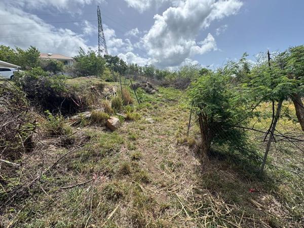 Terrain Case Pilote 1000 m2 quartier Micolo