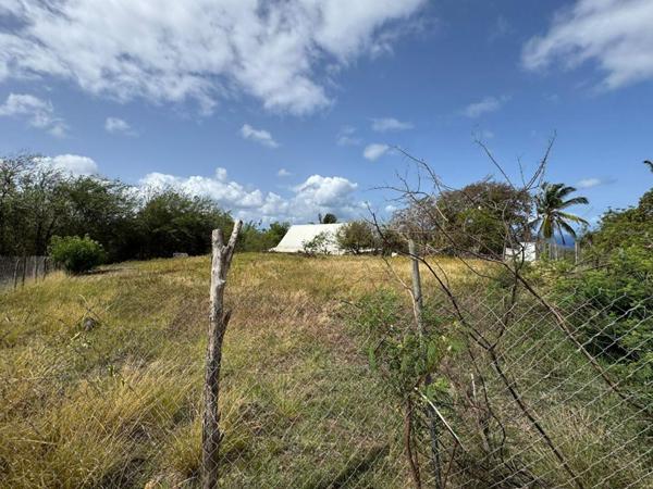 Terrain Case Pilote 1000 m2 quartier Micolo