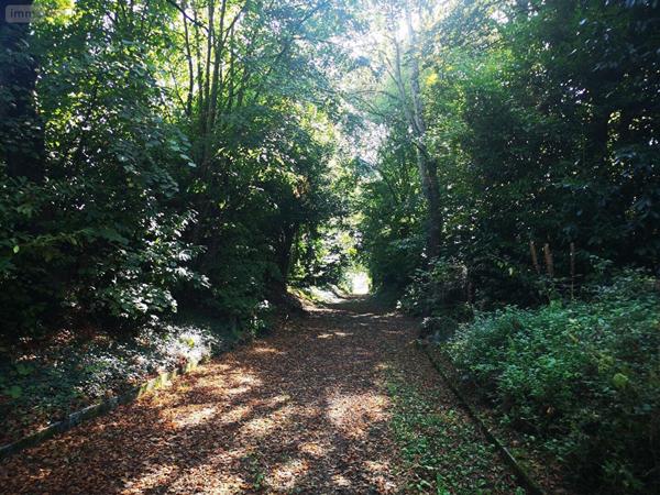 Maison à vendre à Pleine-Fougères en Ille-et-Vilaine (35610), ref : MA555