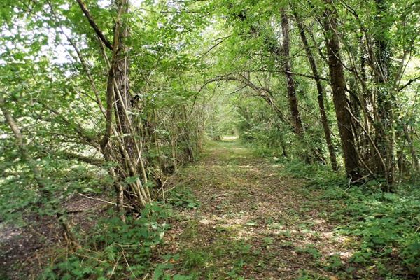 Propriété de chasse Coullons