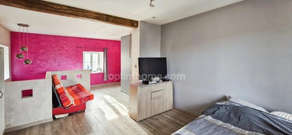 COUTHENANS (70400) ANCIEN MOULIN – 600 M² HAB – 2,7 HA – 4/5 LOGEMENTS – DÉPENDANCE