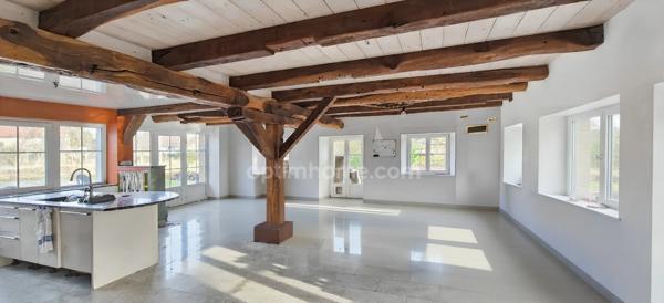 COUTHENANS (70400) ANCIEN MOULIN – 600 M² HAB – 2,7 HA – 4/5 LOGEMENTS – DÉPENDANCE