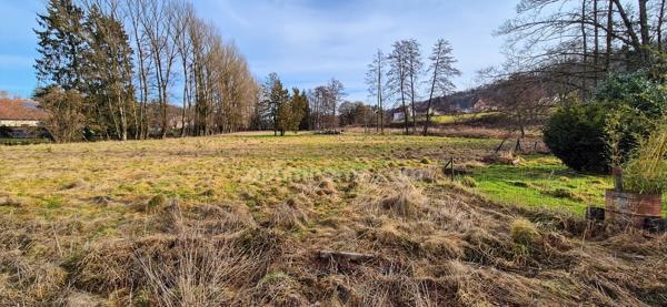 COUTHENANS (70400) ANCIEN MOULIN – 600 M² HAB – 2,7 HA – 4/5 LOGEMENTS – DÉPENDANCE