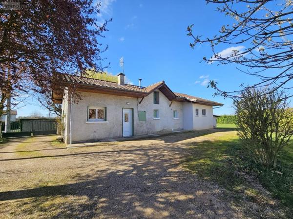 Maison à louer à Bâgé Dommartin dans l'Ain (01380), ref : 008/2378