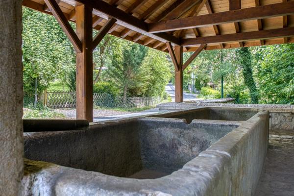 Maison de caractère avec piscine et jardin arboré à vendre 5 pièces ECHENEVEX (01)