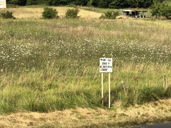 Immobilier Saint-Astier (24110) – Terrain 2000m2 – 19 000 €