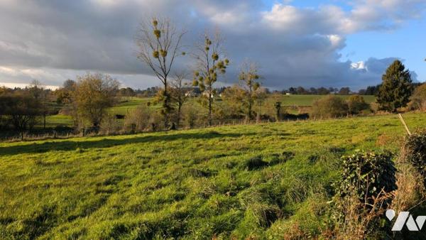 Maison en pierre à vendre avec 3,8 hectares de terrain