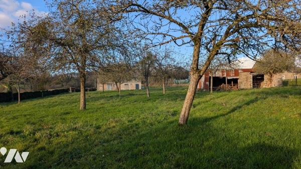 Maison en pierre à vendre avec 3,8 hectares de terrain