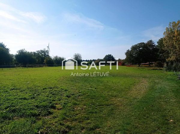 Terrain constructible