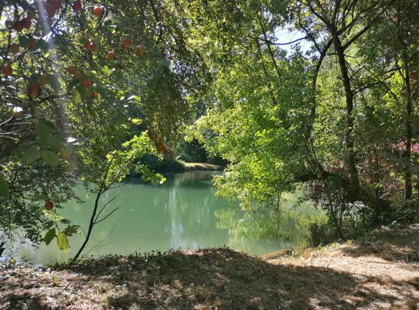 POITIERS SUD - MAISON T 10 Poitiers (86000)