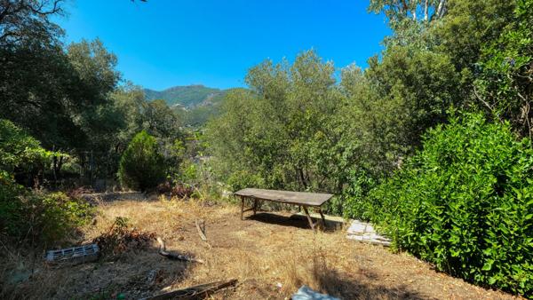 Bâtisse San Martino Di Lota 8 pièce(s) 217.7 m2 quatre appartements