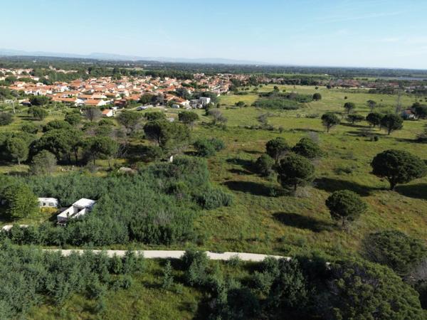 Vente / Terrain agricole