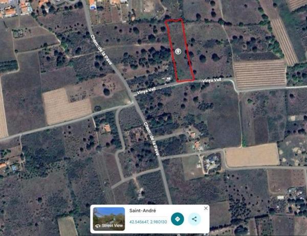 Vente / Terrain agricole