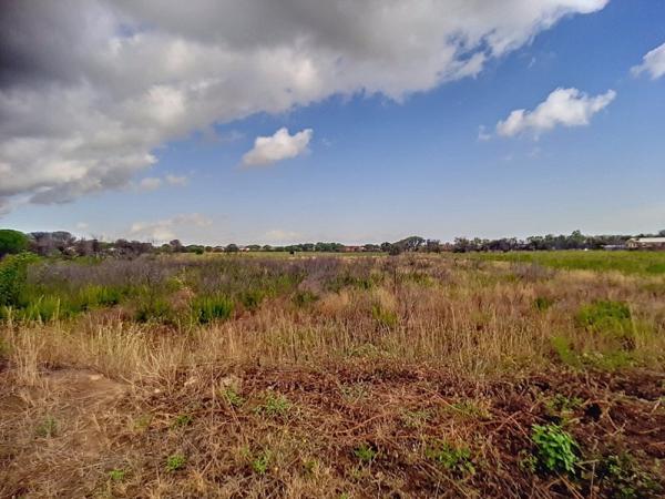 Vente / Terrain agricole