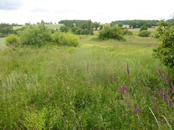 Fermette Mayenne Mayenne Fermette Mayenne Mayenne