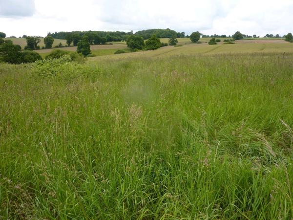 Fermette Mayenne Mayenne Fermette Mayenne Mayenne