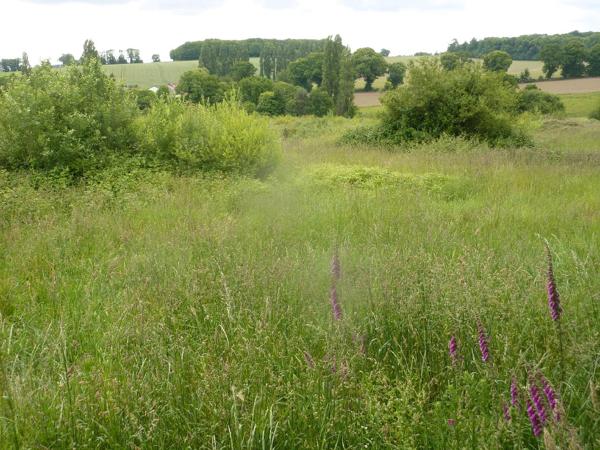 Fermette Mayenne Mayenne Fermette Mayenne Mayenne