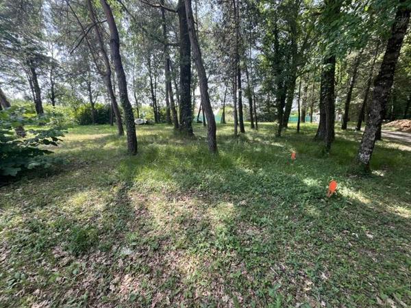 Terrain à vendre |  Dirac |  1043 m²