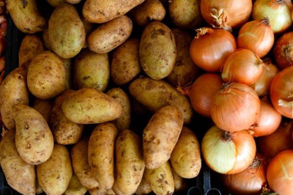 Agroalimentaire à POISSY (78300)