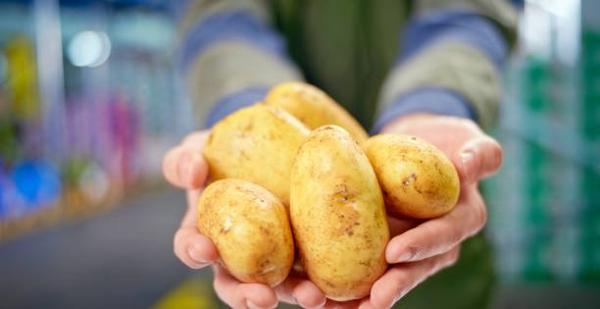 Agroalimentaire à POISSY (78300)
