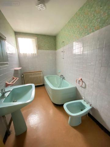 Maison à vendre à Villedieu-sur-Indre dans l'Indre (36320), ref : 1048351