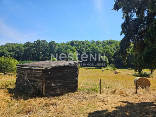 Charmante maison ancienne en location à ST QUENTIN SUR INDROIS en pleine campagne