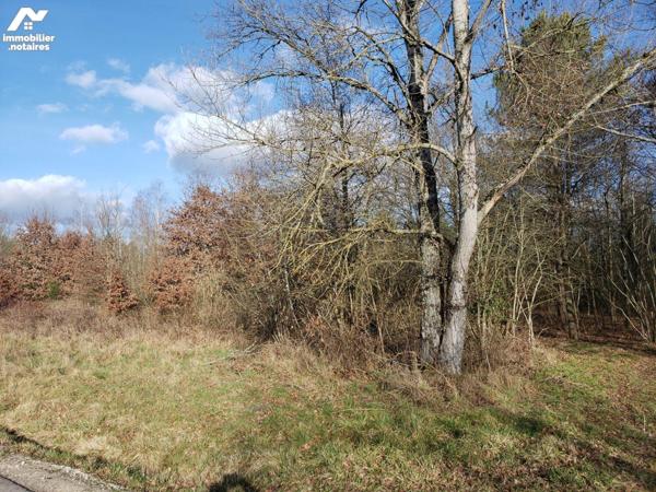 A vendre à Romorantin (41) , quartier Nord/Est, beau terrain à bâtir, non viabilisé, d'une supe...