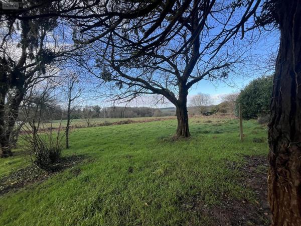 Maison individuelle à vendre à La Trinité-Porhoët dans le Morbihan (56490), ref : VM3292-56044