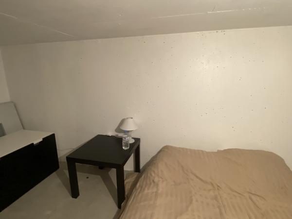 Location Appartement meublé 2 pièces Le Puy-en-Velay (43000)