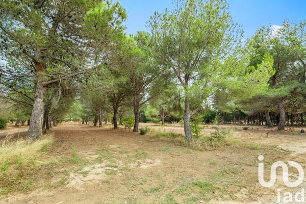 Maison à vendre 8 pièces 238 m² Claira