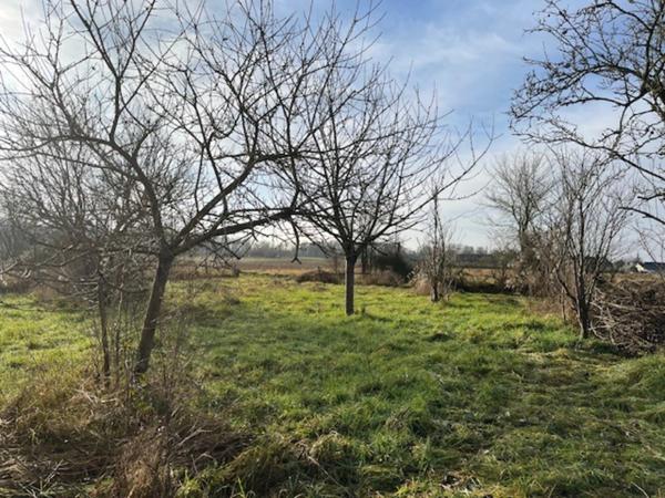 Maison Ancienne de Caractère à Broc, Maine-et-Loire