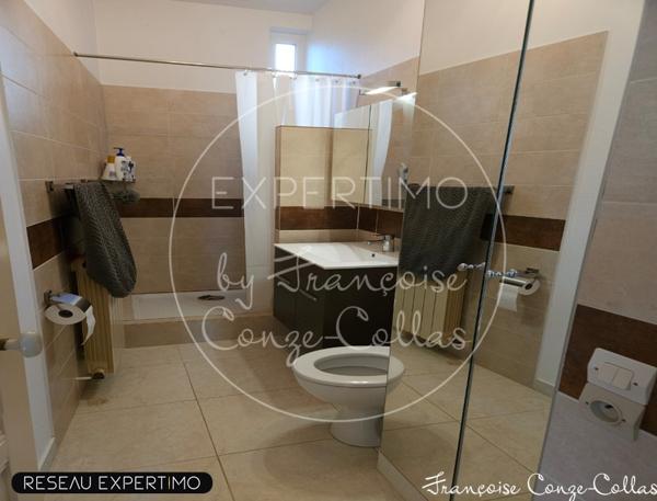 Troyes (10000) Ensemble immobilier sur 800m2 de terrain, 2 maisons