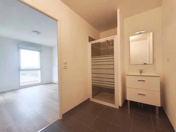 Appartement FACHES THUMESNIL 43.5 m²