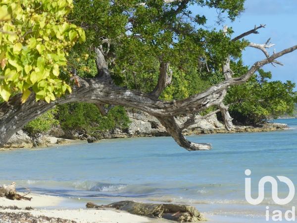 Appartement à vendre 2 pièces 34 m² Saint-François