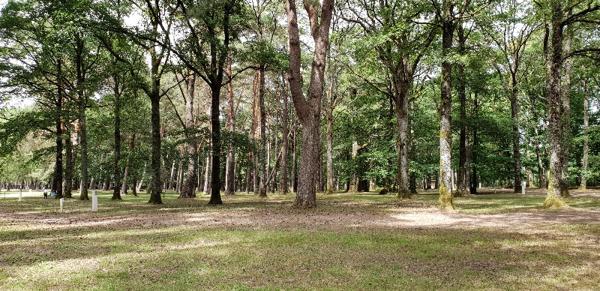 Magnifique domaine de loisirs et camping - Forêt