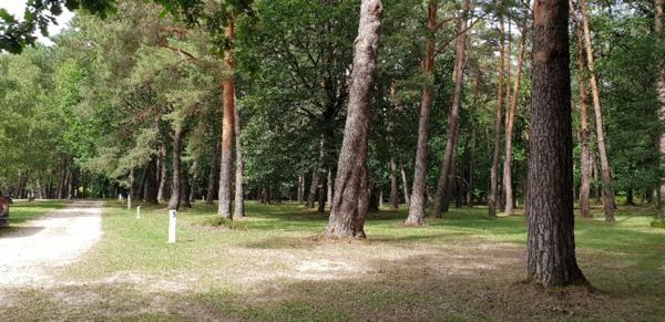 Magnifique domaine de loisirs et camping - Forêt