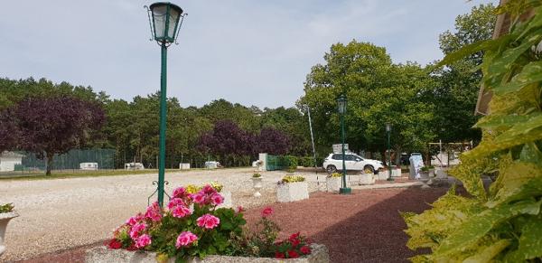 Magnifique domaine de loisirs et camping - Forêt