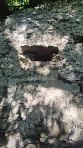 Grange à vendre VIELLE AURE (65)